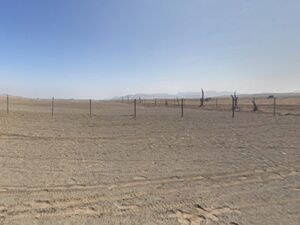 For Sale: 18000 has - Beachfront Land in La Libertad.