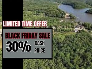 Black Friday Sale - Camden County 0.24 Acre Lakefront Deal. 
