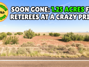 Your Own 1.25 Acres in AZ: Just $47/Down to Start! BUY NOW