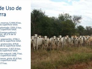 Agricultural/Livestock Farm 31677 hectares