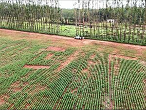 Ranch 1000has. San Pedro Department