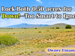 Get Your 2 Side-by-Side 0.50 Acre Lots For Just $47/Down