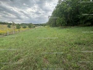 Fenced plot for sale with electricity and drilled well