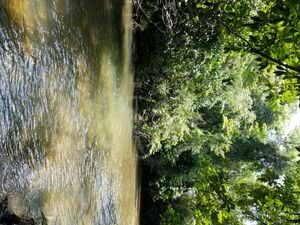 50-Acre Farmland Property with All-Weather Creek in Frank’s 