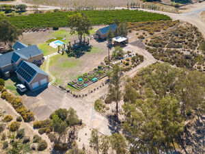 For The Connoisseur (647)