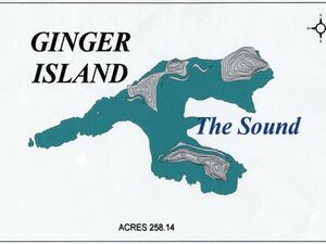 Ginger island - For Sale