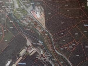 I am selling land with young forest