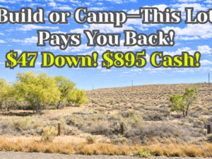 Smart Investment! 0.25 Acre Lot For $47/down or $895 Cash