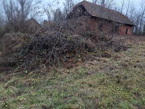 With well, large land size, wild mushroom and game paradise