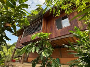 Amazonian Dream! House in Ecuador with 6.000m²