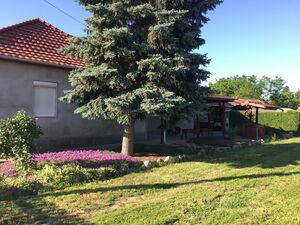 excellent 4bed family home from owner