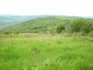 Building plot Temenouga