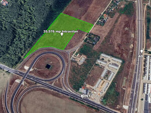 Land 35,576 sqm, Forest Frontage, Direct Road Access