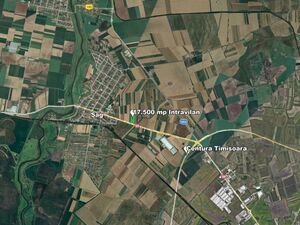 17500 Sqm Land for Sale – DN59, near Timișoara, Romania