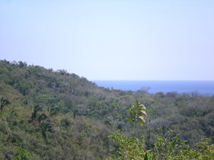 Her loss is your gain!