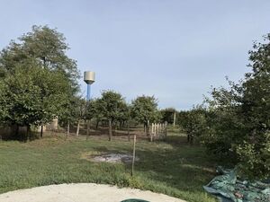 House with orchards Sombor-Čonoplja