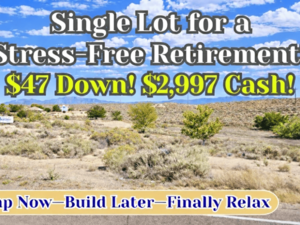 Rare Chance to Buy BUILDABLE Lot in Valencia for $47/Down