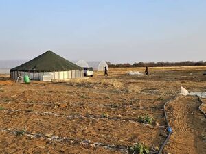 FARM FOR SALE IN LENTSWELETAU BOTSWANA