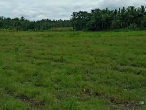 For sale farm lot in Cebu, Philippines 
