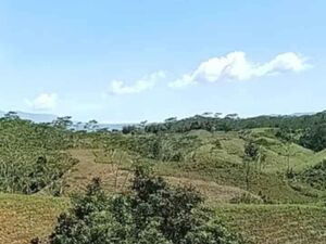 For sale farm lot in bukidnon, Philippines 