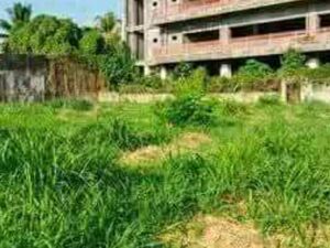 For sale farm lot in Davao del Norte, Philippines 