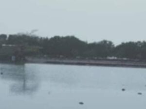 For sale island in Bohol, Philippines 