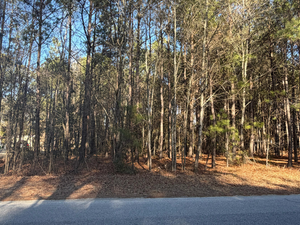 1 Acre for Sale in Timmonsville SC