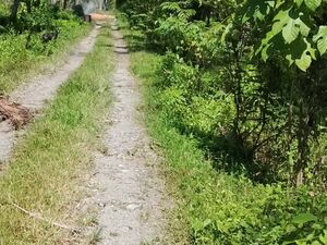 For sale commercial lot in Tagum City,Philippines 