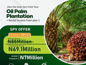 Palmrich Phase 9 SPV Offer