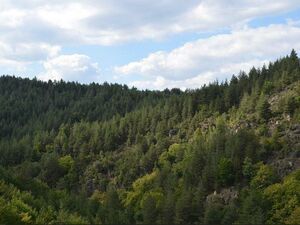 Exclusive Opportunity – Development Plot in Berovo