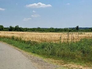 Land Barajevo-Veliki Borak