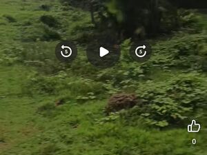 Farm lot in panabo city 