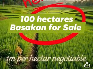 Farm lot in Agusan del sur 