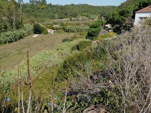 Land Plot with Approved Project for 4 T2 Houses – Vimeiro Th