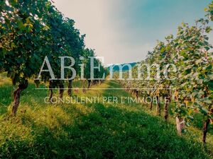 Farmland on Strada Aivè, Costigliole d'Asti (MONFERRATO)