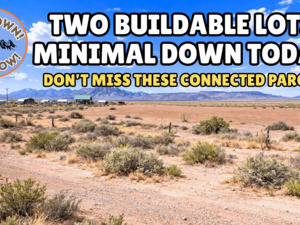 Get Your 2 Connected Lots of 0.50-Acre each for $47/Down