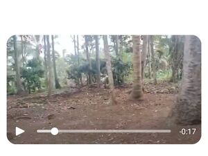 Farm lot in Davao city 