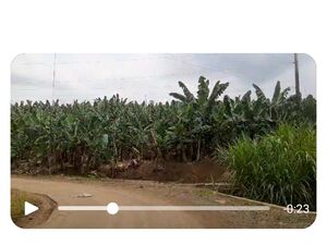 Farm lot in Davao city 