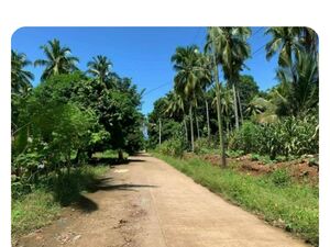 Farm lot in Davao city 