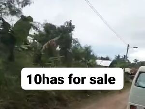 Farm lot in panabo city 