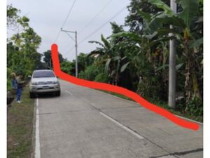 Industrial lot in Davao city 