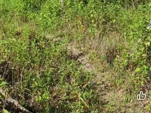 Commercial lot in panabo city 