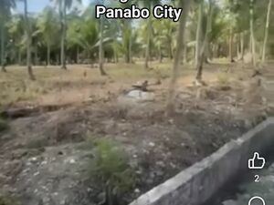 Residential land in panabo city 