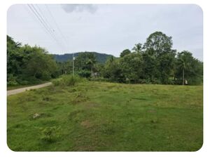 Farm lot in samal island, Philippines 