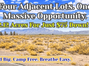 Buy 4 Adjacent Lots Totalling 2.12 Acre for Just $75 Down