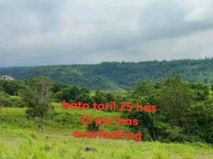 Farm lot in Davao city 