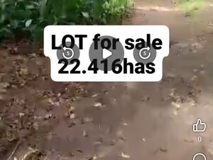 Farm lot in Davao city 