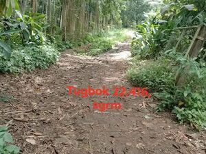 Farm lot in Davao city 