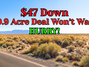 Nearly 1 Acre Buildable Lot (0.90 Acre) – $47 Down