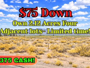 Buy 4 Adjacent Lots Totalling 2.12 Acre for Just $75 Down